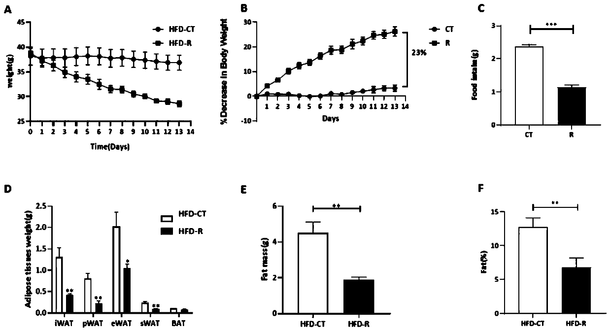 Rutundic acid R as leptin sensitizer as well as application thereof in preparation of weight-reducing medicines