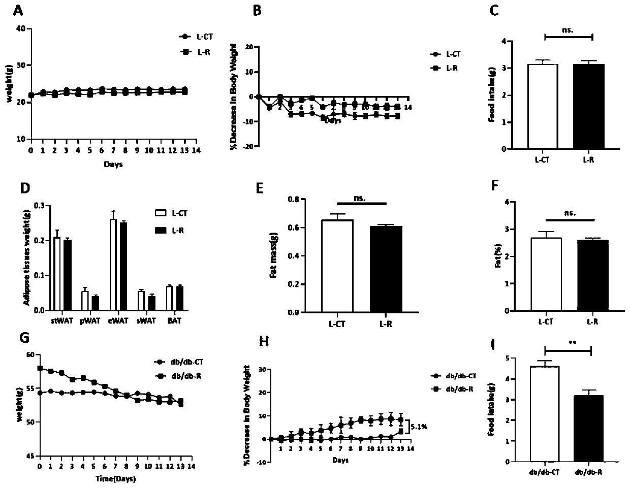 Rutundic acid R as leptin sensitizer as well as application thereof in preparation of weight-reducing medicines