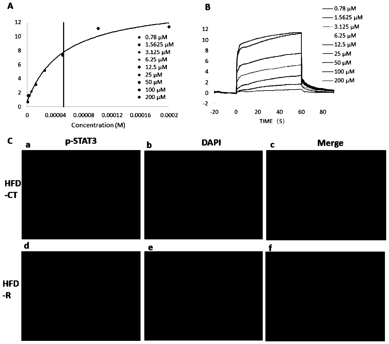 Rutundic acid R as leptin sensitizer as well as application thereof in preparation of weight-reducing medicines