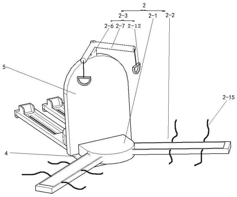 A two-person interactive leg muscle training device