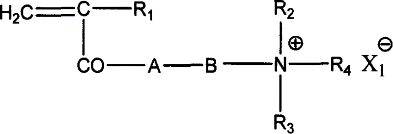 Cation type water-soluble polymer dispersion