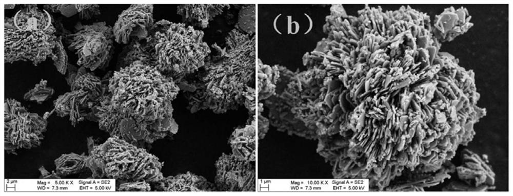 Calcium zincate negative electrode material for zinc-based secondary battery, preparation method of calcium zincate negative electrode material and zinc-based secondary battery