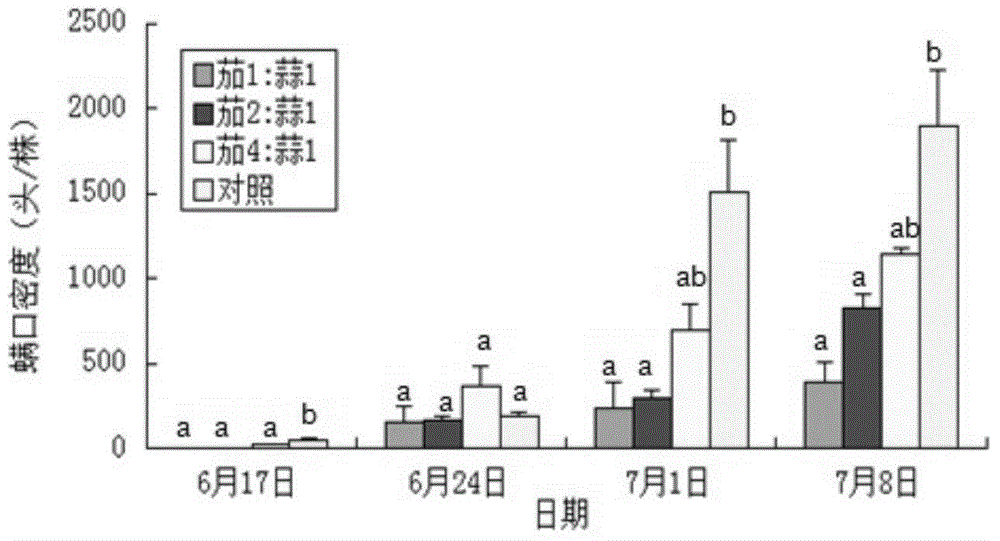 Ecological prevention and treatment method for vegetable tetranychidae