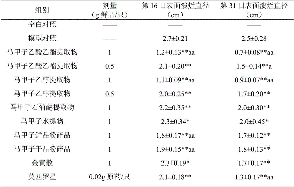 Application of paliurus ramosissimus (Lour.) poir or extract thereof in preparing medicine for treating infectious ulcer