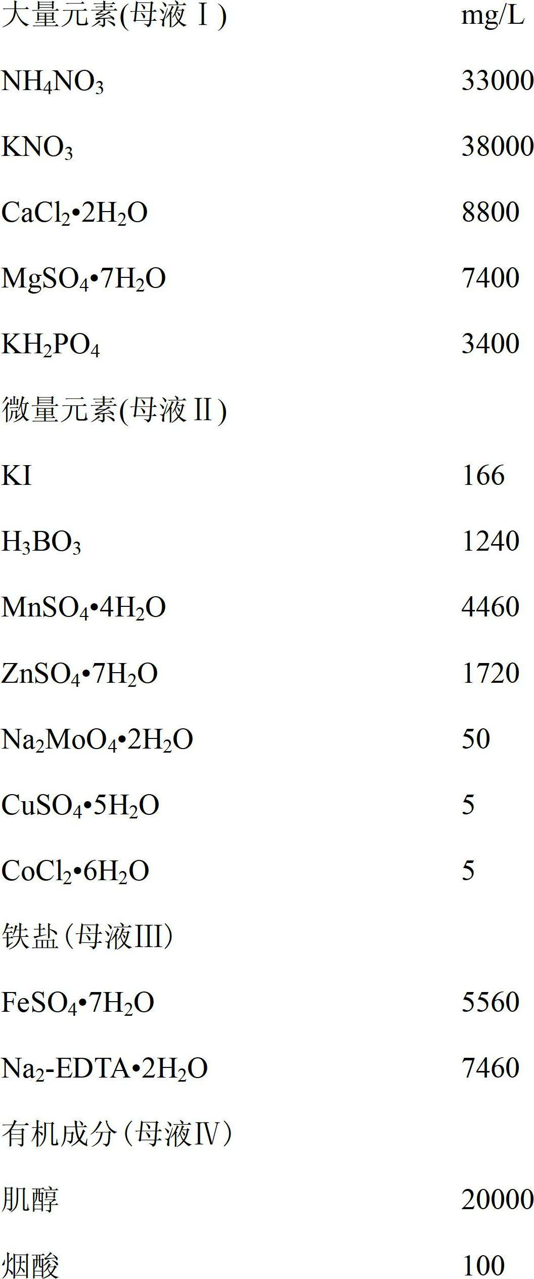 Fast seedling breeding method for tissue cultivation of callicarpa bodinieri and method for transplanting rooting seedlings of callicarpa bodinieri