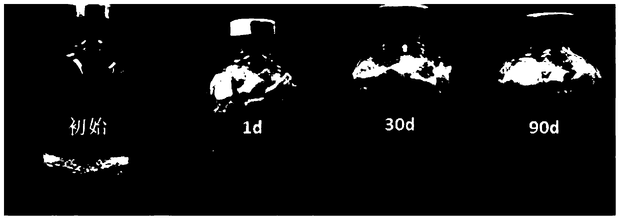 Temperature-resistant salt-resistant high-expansion plugging agent for plugging large cracks and preparation method thereof