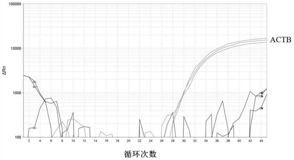 Kit for detecting human MLH1 gene methylation and use method of kit