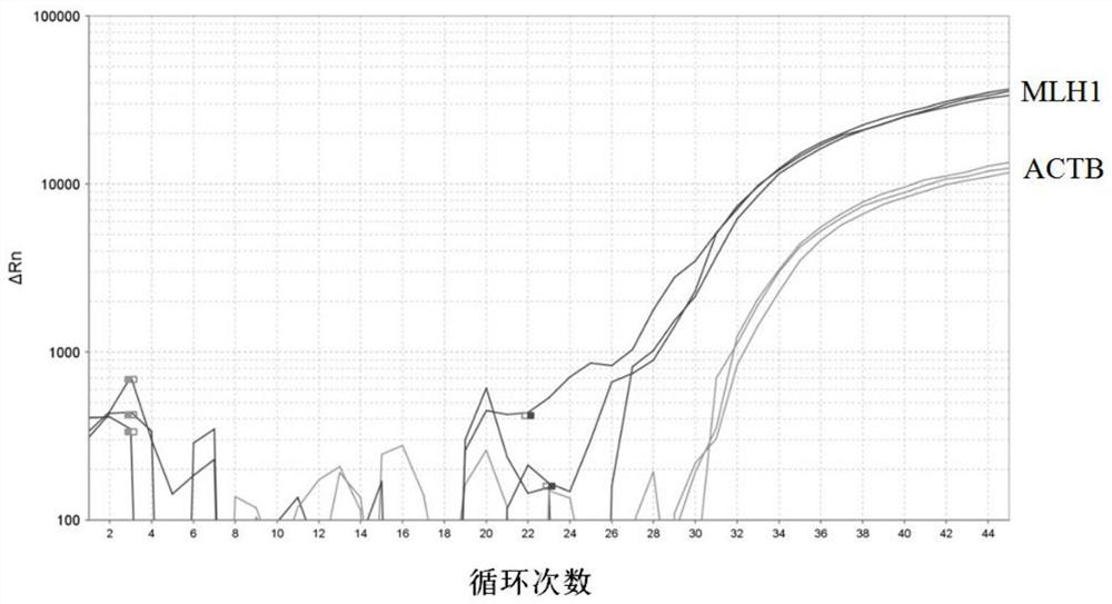 Kit for detecting human MLH1 gene methylation and use method of kit