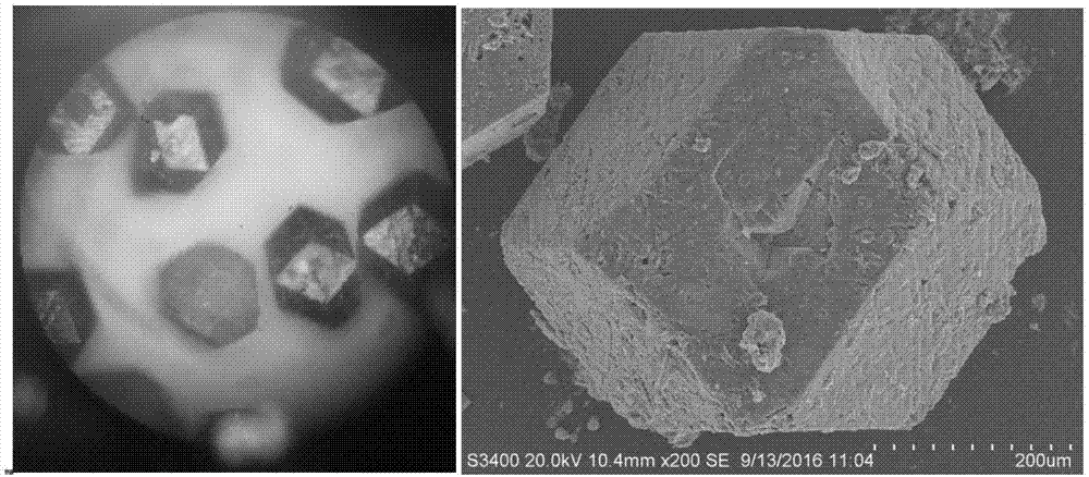 Metal porous organic framework material, and preparation method and applications thereof