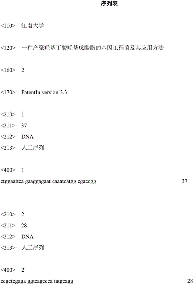 Genetically engineered bacterium capable of generating polyhydroxybutyrate hydroxyvalerate and application method of genetically engineered bacterium