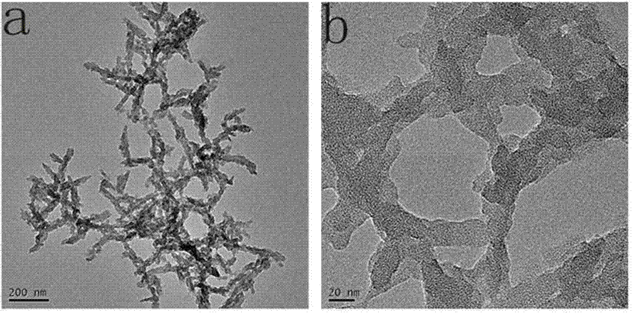 A kind of metal organic nano compound and its preparation and application