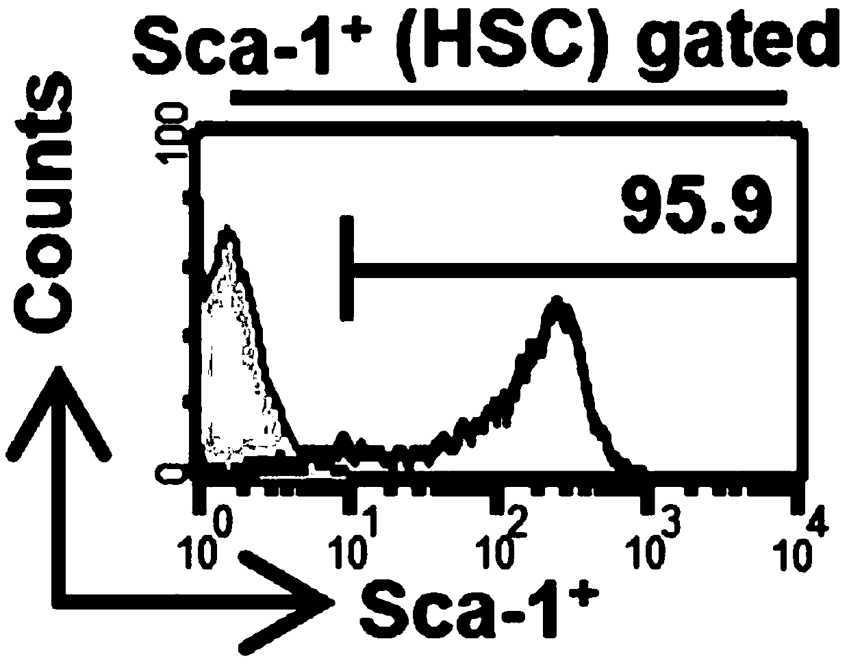 Culture method and culture medium for in vitro amplification of hematopoietic stem cells