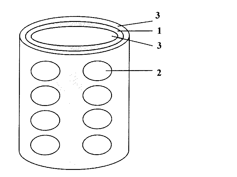 Biologic degradable magnesium alloy medicine supporter for reconstructing blood circulation and preparation method