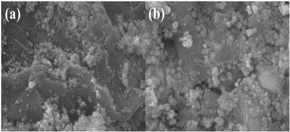 Ag/g-C3N4 composite photocatalyst and preparation method thereof