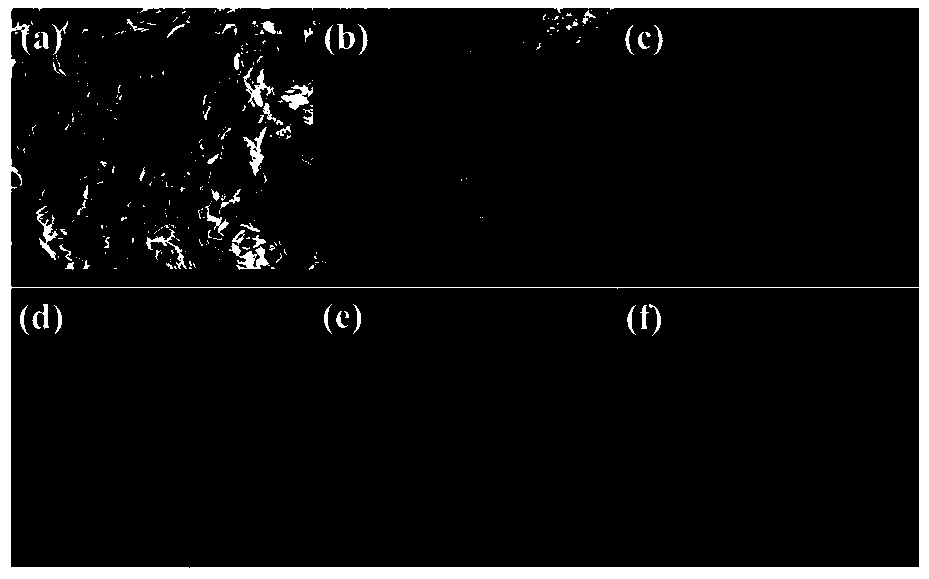 BiVO4/N-doped CQD (carbon quantum dot)/Cu2O double Z type photocatalyst as well as preparation method and application thereof