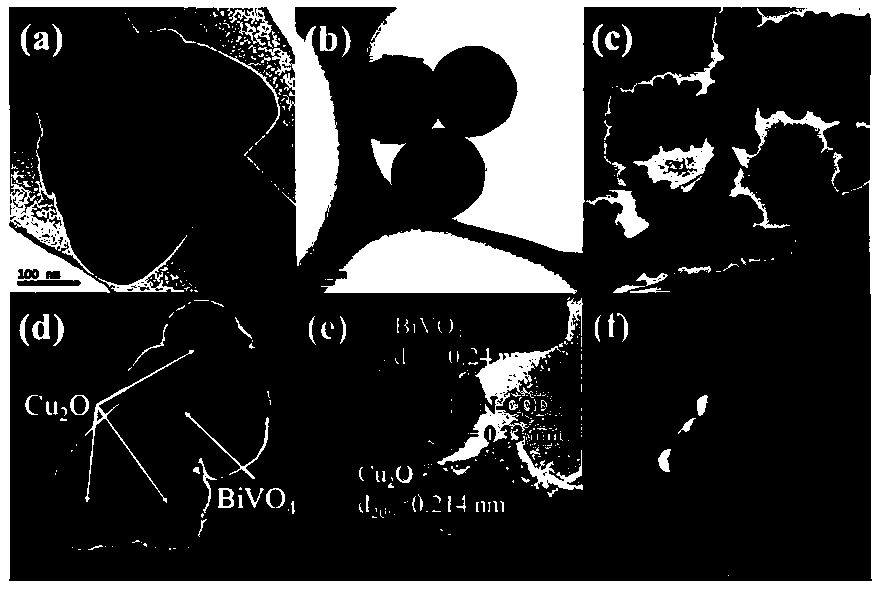 BiVO4/N-doped CQD (carbon quantum dot)/Cu2O double Z type photocatalyst as well as preparation method and application thereof