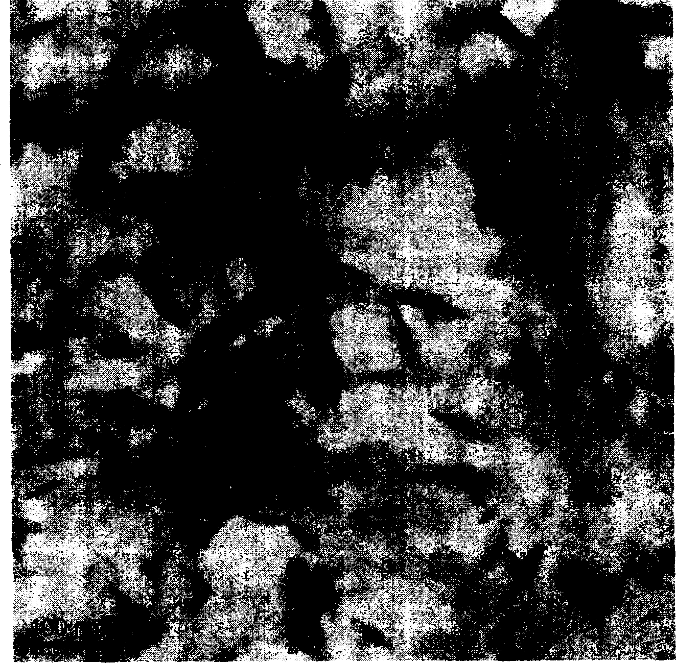 Method of preparing nano titanium dioxide crystallization induced by nano microcrystalline cellulose