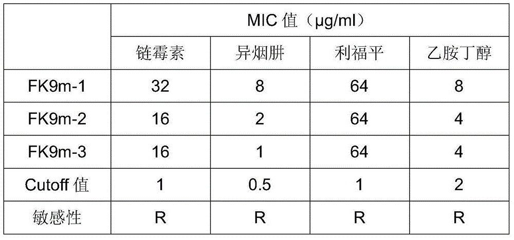 Drug-resistant gene of mycobacterium tuberculosis and application of drug-resistant gene of mycobacterium tuberculosis