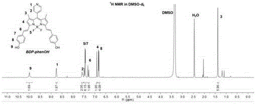 Platinum-based bodipy compound, preparation method and application