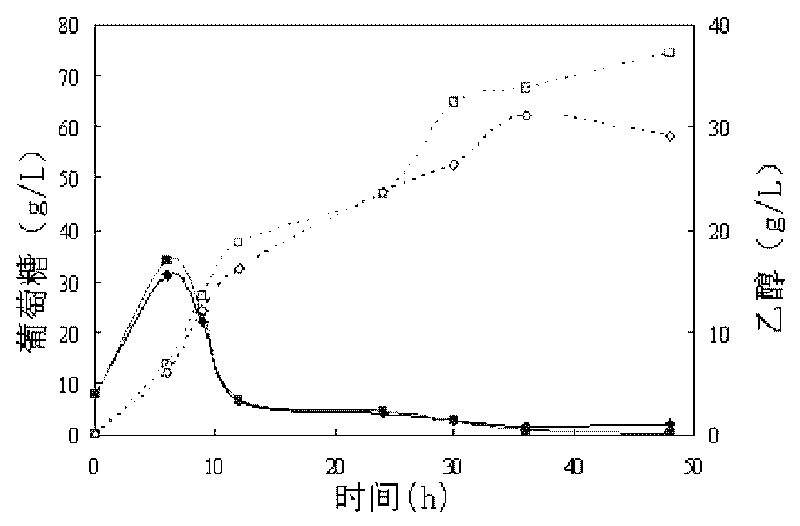 Improved method of excess calcium hydrate detoxification during cellulose ethanol production