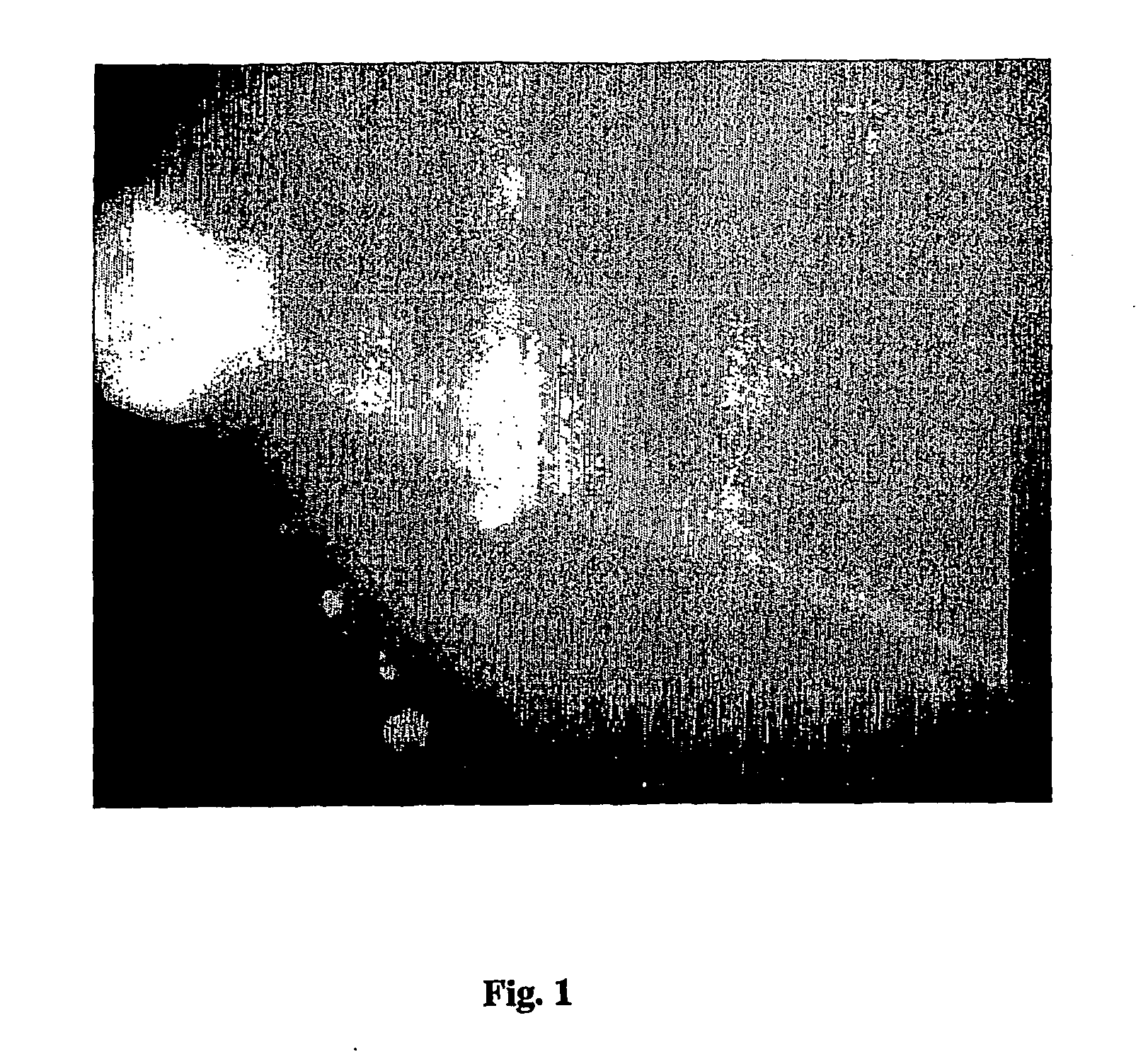 Amplification of biotin-mediated targeting