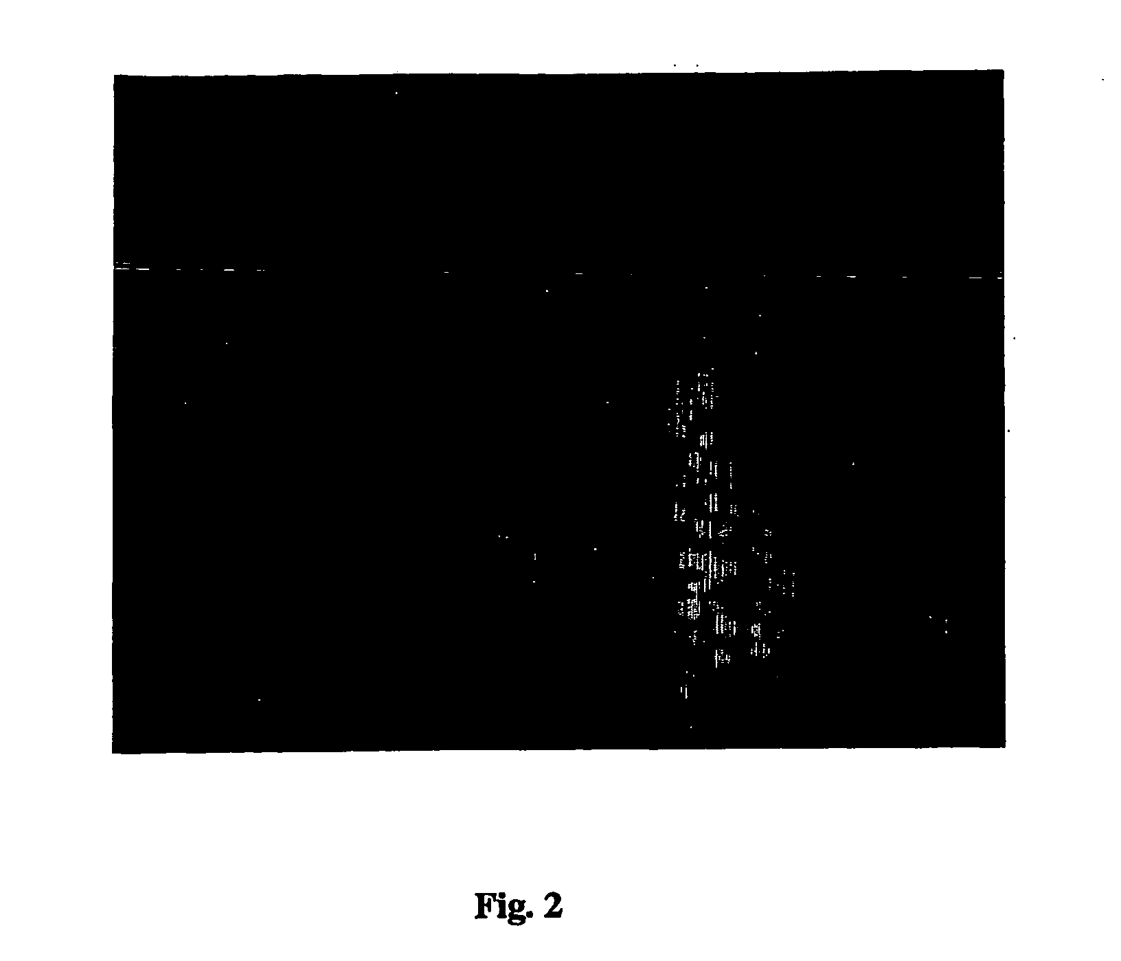 Amplification of biotin-mediated targeting