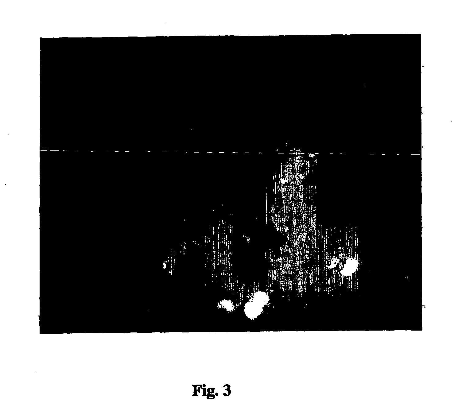 Amplification of biotin-mediated targeting