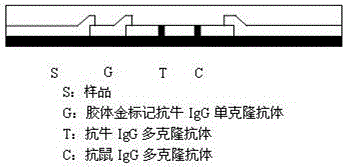 Hybridoma cell line capable of secreting monoclonal antibody against bovine immunoglobulin IgG and its application