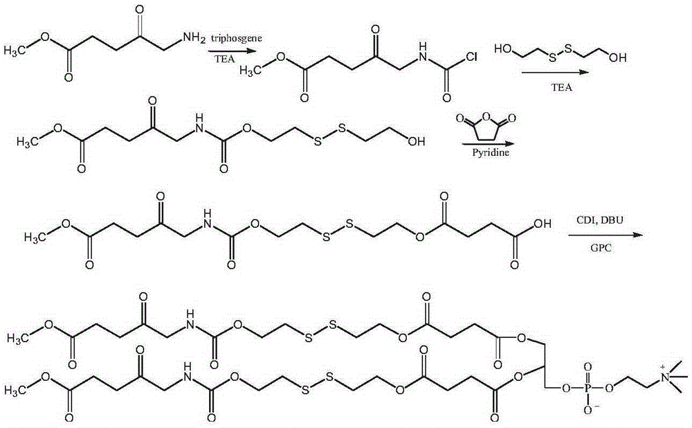 Photosensitizer phospholipid compound as well as pharmaceutical composition and application of photosensitizer phospholipid compound