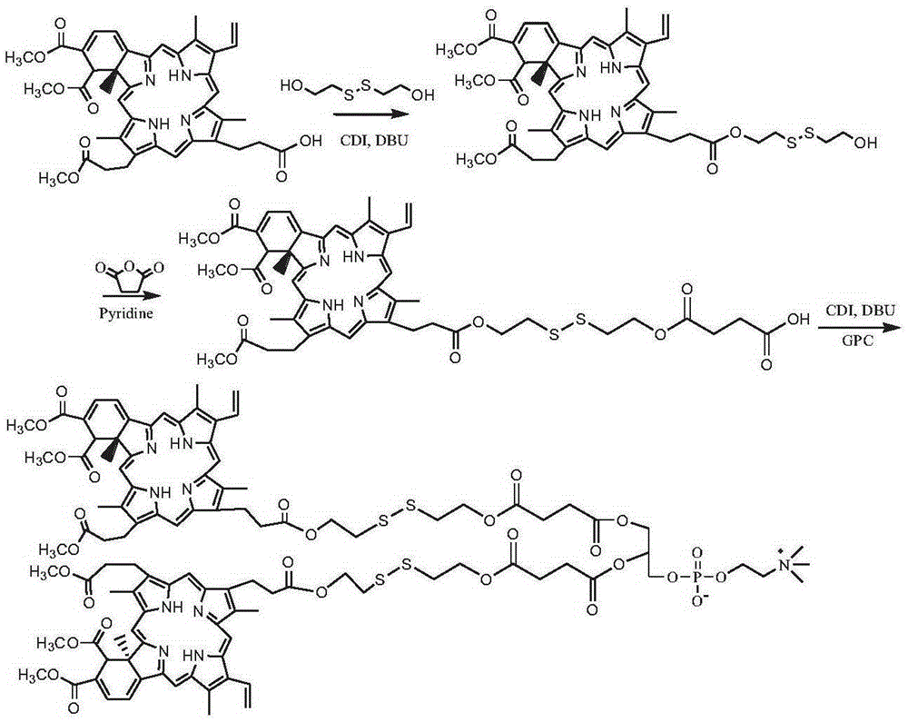 Photosensitizer phospholipid compound as well as pharmaceutical composition and application of photosensitizer phospholipid compound