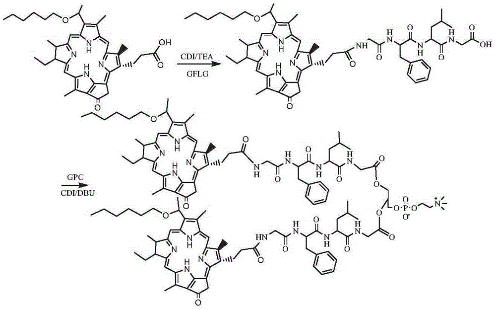 Photosensitizer phospholipid compound as well as pharmaceutical composition and application of photosensitizer phospholipid compound