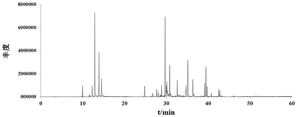 Chimonanthus salicifolius fermentation product as well as preparation method and application thereof