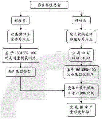 Method for determining differential SNP between donor and receptor, and applications thereof