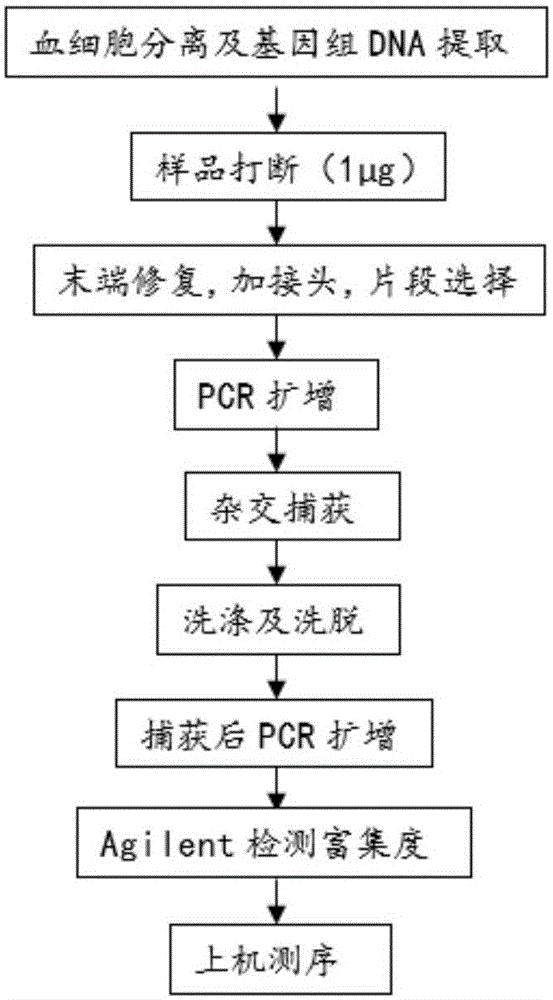 Method for determining differential SNP between donor and receptor, and applications thereof