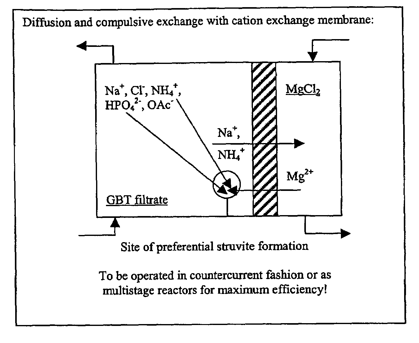 Struvite crystallization