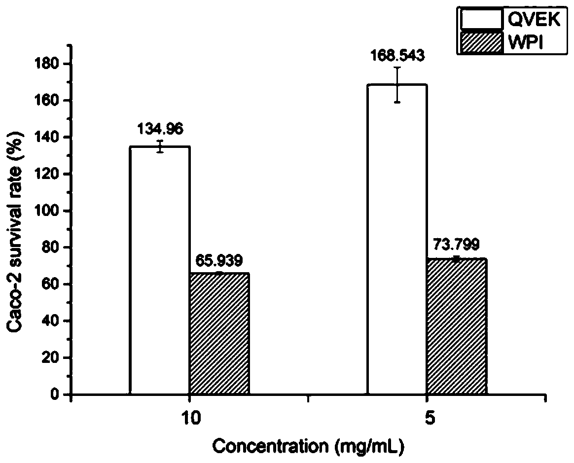 Novel hydrogel and preparing method thereof