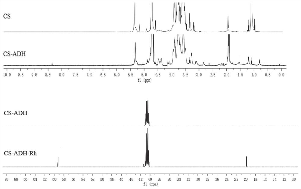 Tumor targeting nanometer micelle, preparation method and application of tumor targeting nanometer micelle as drug carrier