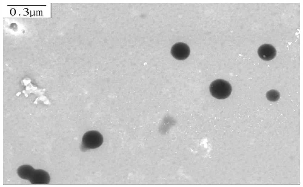 Tumor targeting nanometer micelle, preparation method and application of tumor targeting nanometer micelle as drug carrier