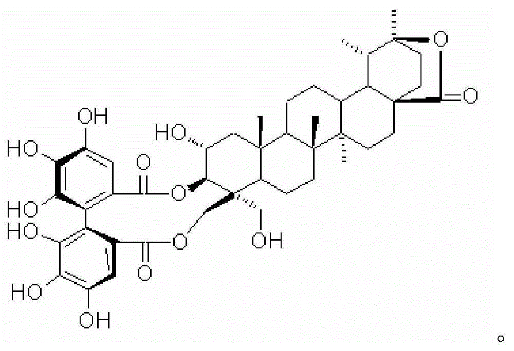 Method of extracting and separating triterpenoid ellagitannin compound from castanopsis fissa leaves