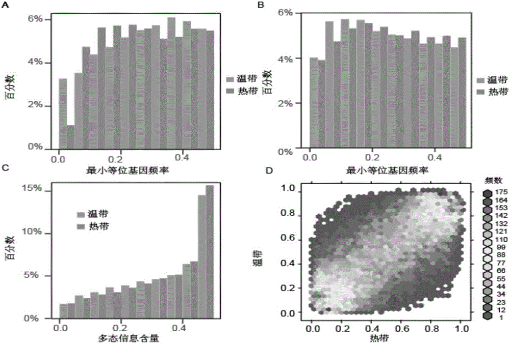 DNA chip and application of DNA chip in corn variety identification and breeding