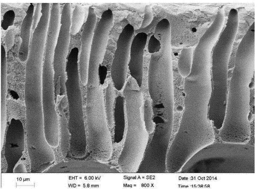 Anti-pollution and high-flux ultrafiltration membrane, preparation method thereof and membrane casting solution