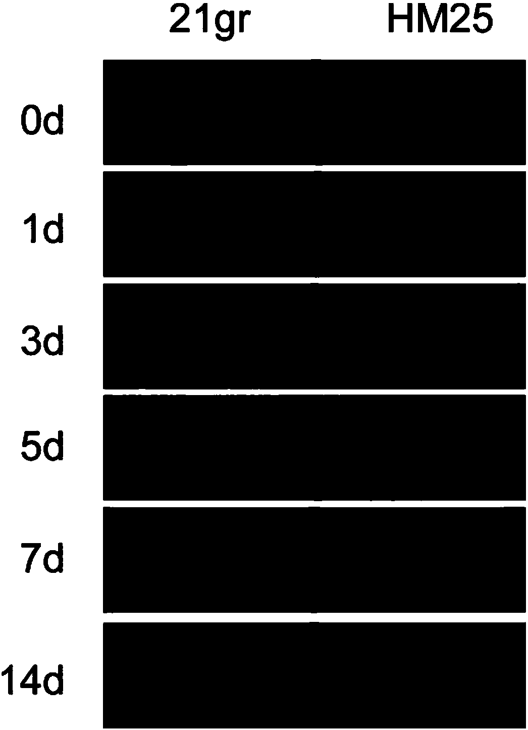 Application of chlamydomonas reinhardtii VMPL1 gene to regulation of cadmium tolerance of chlamydomonas reinhardtii