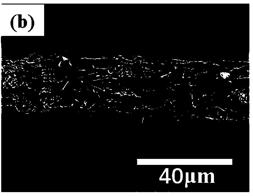 Water-soluble polymer gel polymer electrolyte, preparation method thereof and application thereof