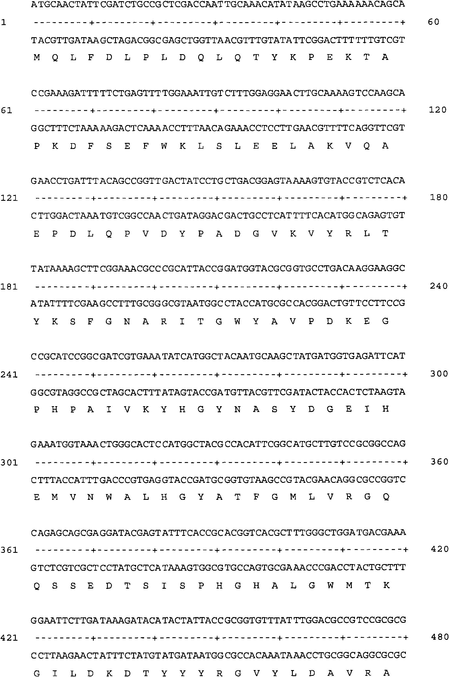 Thermostable lipase, expression of coding gene of thermostable lipase and applications of thermostable lipase