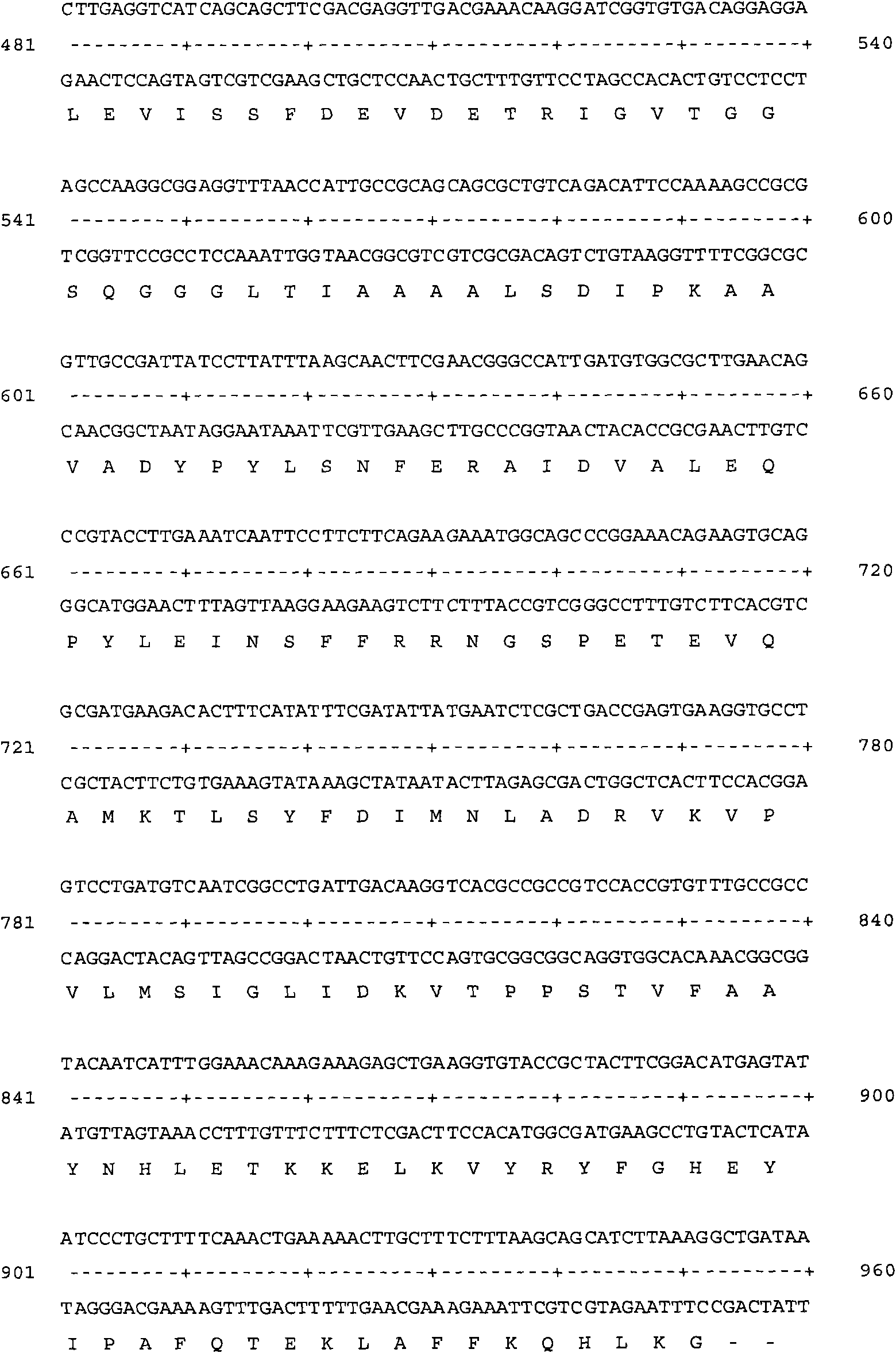 Thermostable lipase, expression of coding gene of thermostable lipase and applications of thermostable lipase