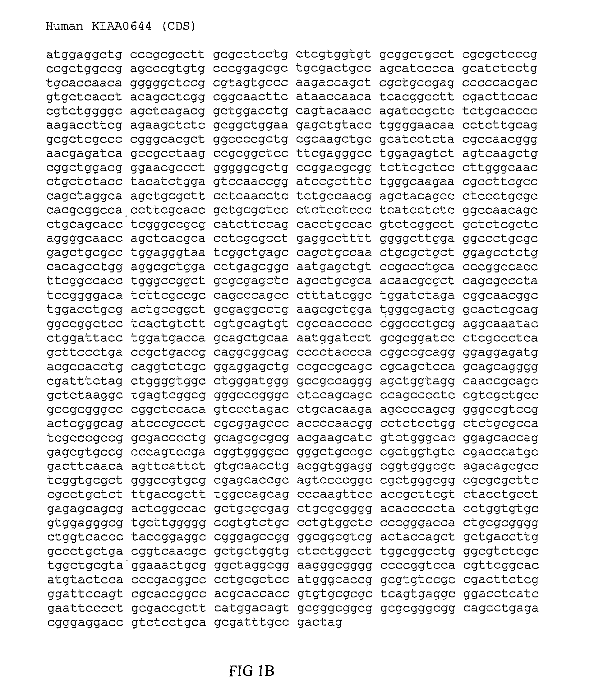 Polypeptides and use thereof