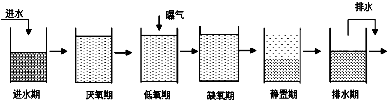 Deep nitrogen-removing technology based on SBR