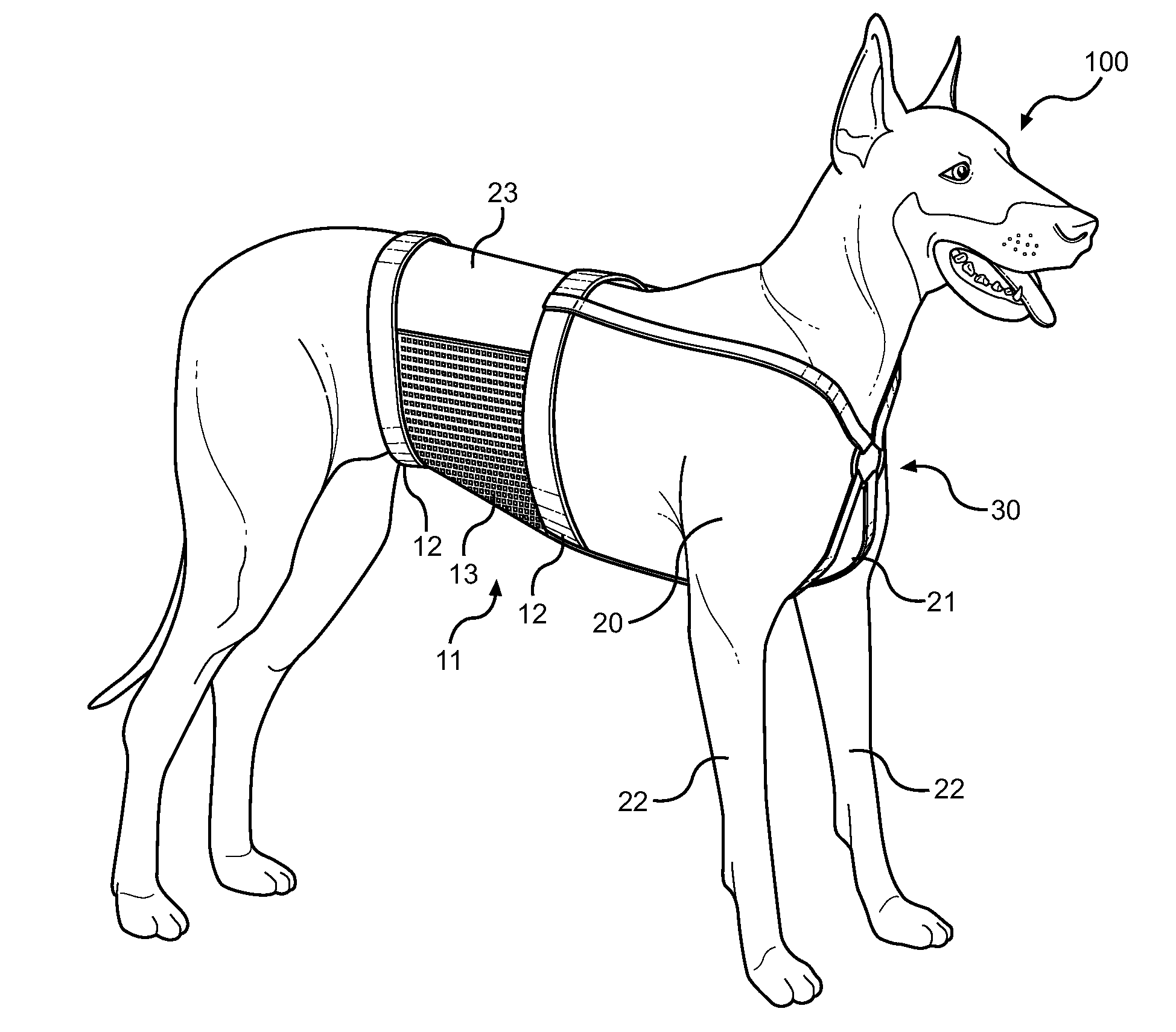 Veterinary Covering Support for Incision or Wound Site