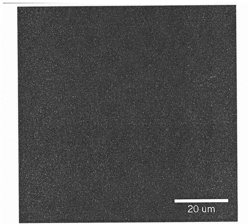 Tumour-associated protein detection method based on monomolecular counting