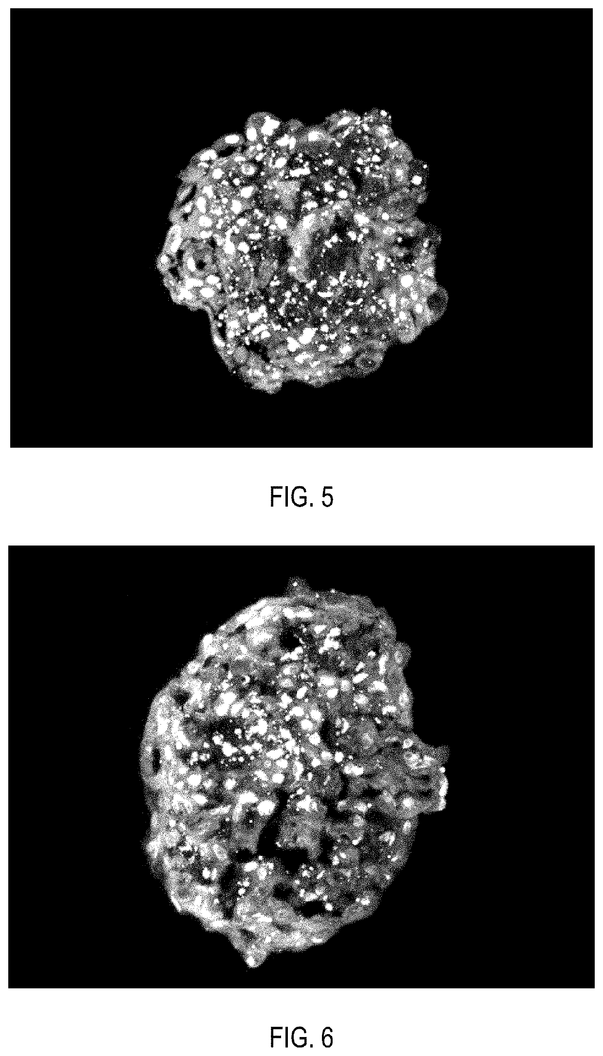 Cell product of mammalian insulin-producing cells and methods for using the same